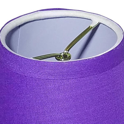 15b_CrayonColors_Purple_Interior_grande