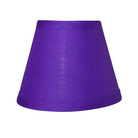 Crayon Colors Purplest Purple