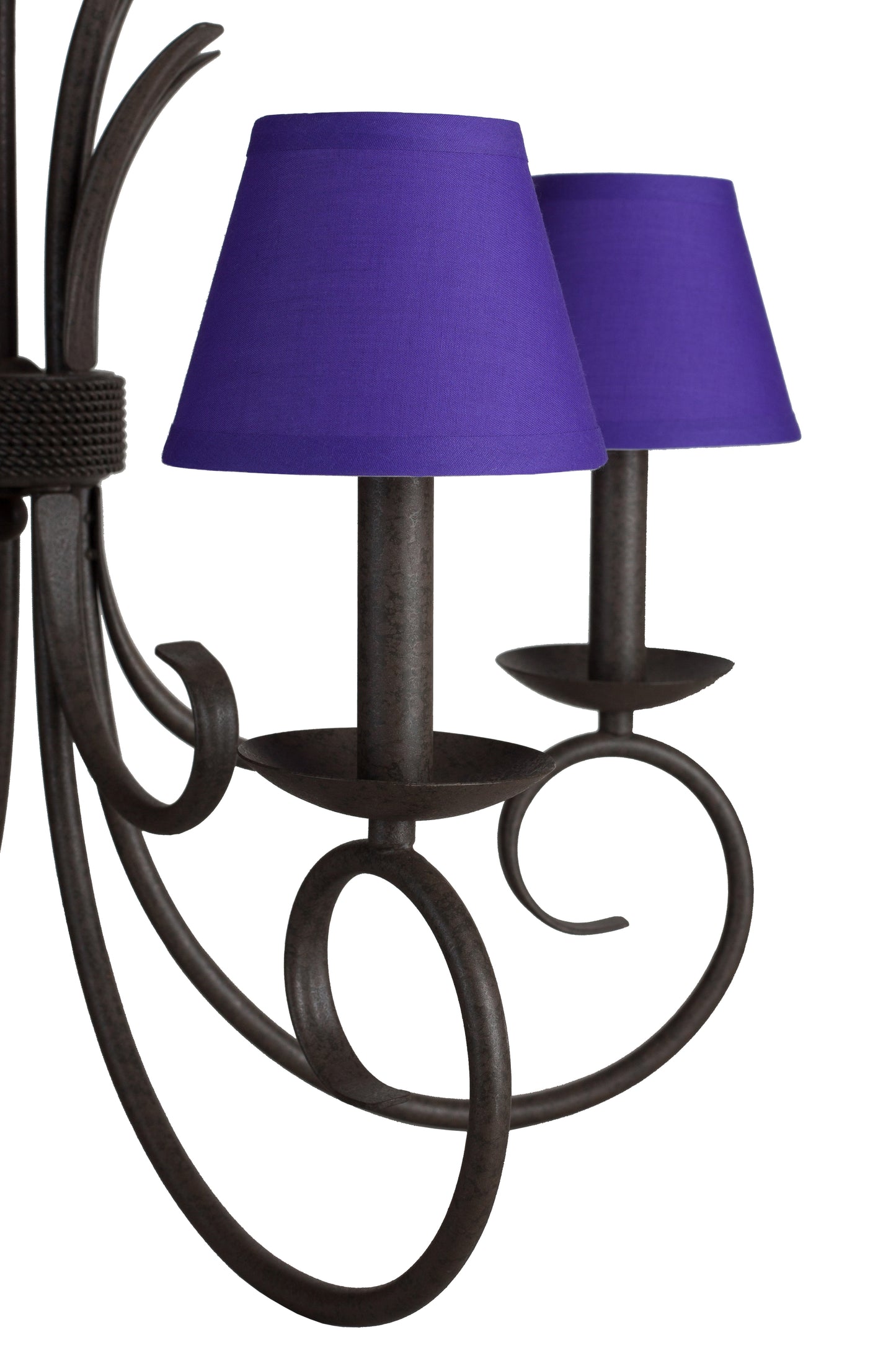 Crayon Colors Purplest Purple