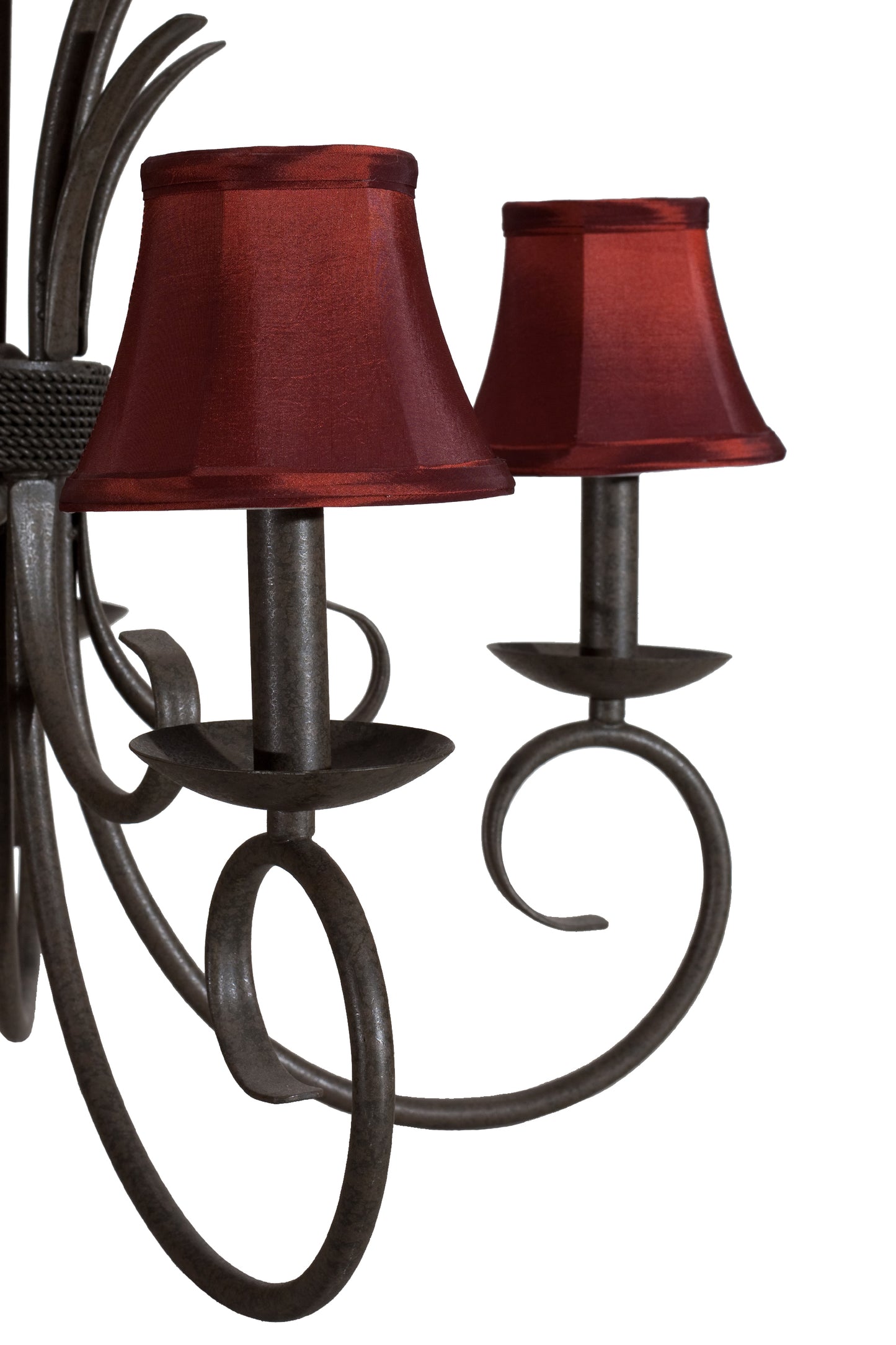 Own the Room in Black Cherry